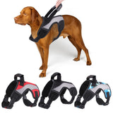 Dog Harness No-Pull Reflective Breathable Adjustable Pet Vest with Handle for Outdoor Walking